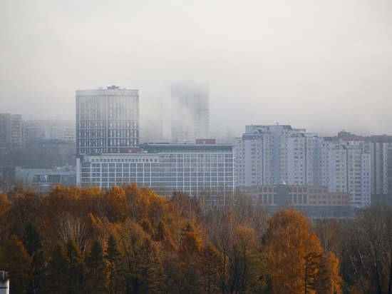 Потепление до +15 градусов ожидается на следующей неделе в Новосибирской области
