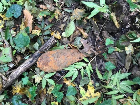 В лесу Туапсинского района Кубани взорвали мину времён войны