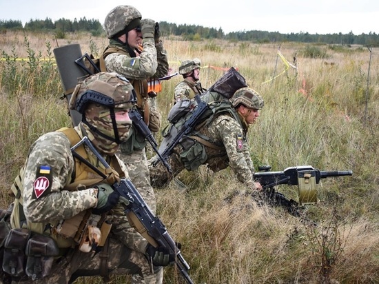 Украинский военный назвал два условия начала операции по «возвращению» Донбасса