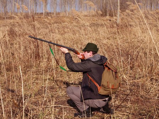 Охотник случайно выстрелил в голову инспектору ГИБДД в Ломоносовском районе