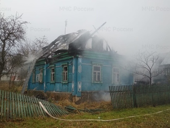 На пожаре в Жукове погибла женщина