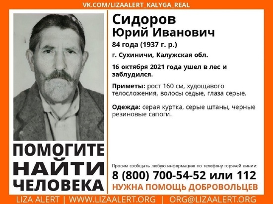В Калужской области в лесу больше суток разыскивают 84-летнего мужчину