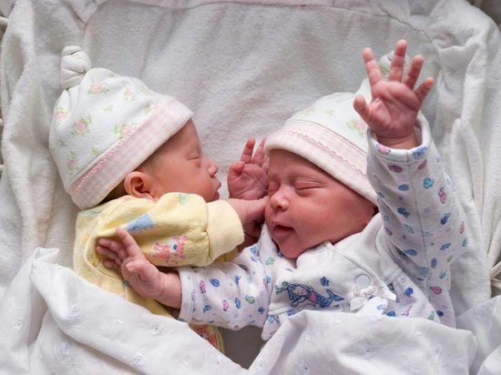 38 двойняшек родилось во Владимирской области всего за 3 месяца