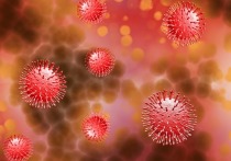 В Забайкалье за время пандемии вирус обнаружен у 73 095 человек, за последние сутки – у 275 жителей региона