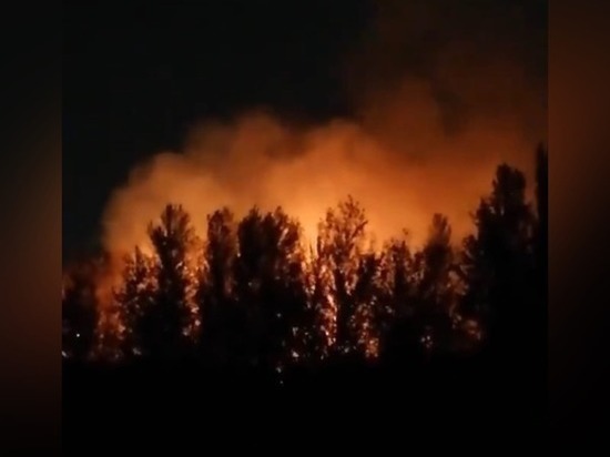 В Ростове на правом берегу Дона произошел пожар