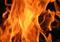По данным МЧС ЛНР 17 октября на территории Республики было ликвидировано 14 пожаров