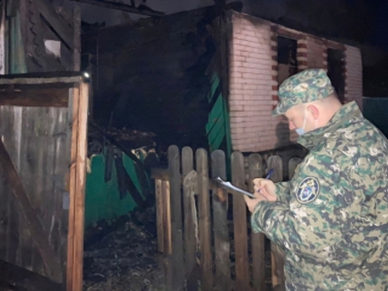 В Вознесенском районе на пожаре погибло трое маленьких детей