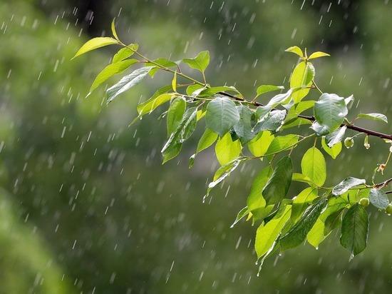 В понедельник на Кубани пройдут дожди с грозами