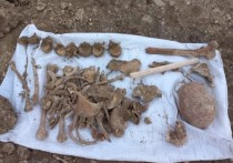 Во время земельных работ на частном участке земли в Кокуе Сретенского района были найдены останки древнего человека