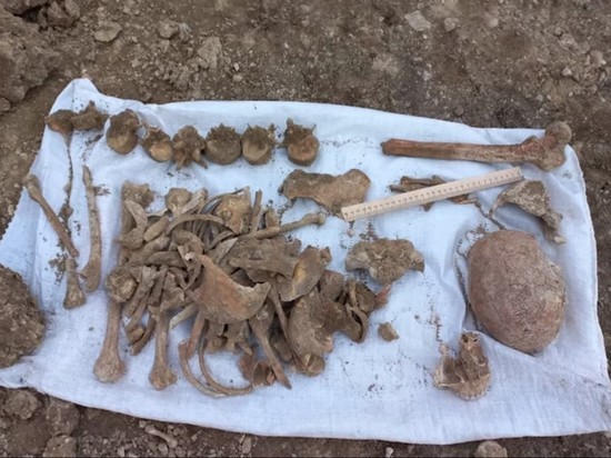 Останки древнего человека нашли на участке забайкальца