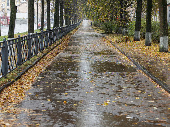 Небольшие дожди пройдут в Псковской области 19 октября