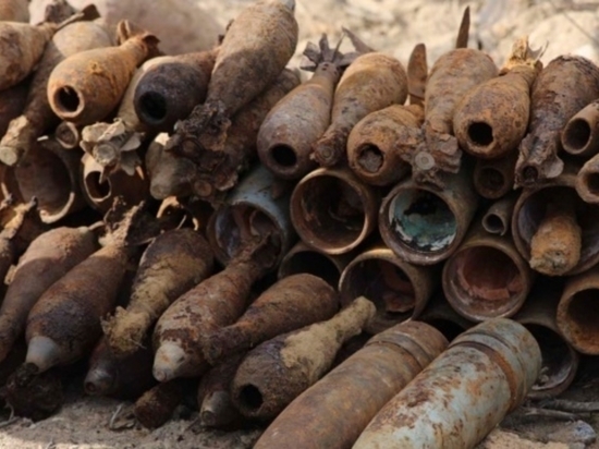 Снаряды и мины времён войны обнаружили в Псковской области