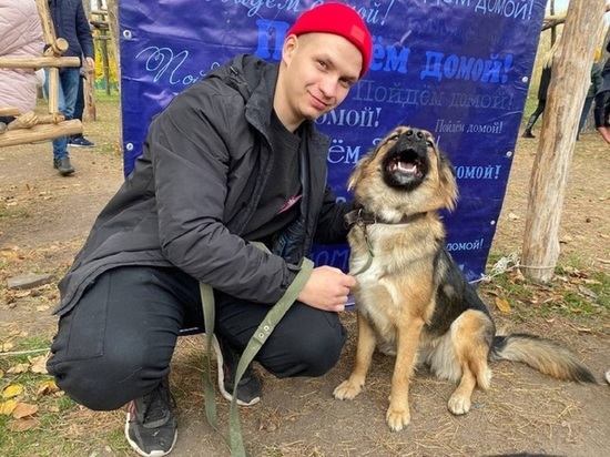 На выставке "Пойдем домой" в Белгороде новый дом нашли 9 собак