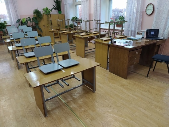 Алексей Дюмин поручил подготовиться к возможному введению дистанционного обучения в Тульской области