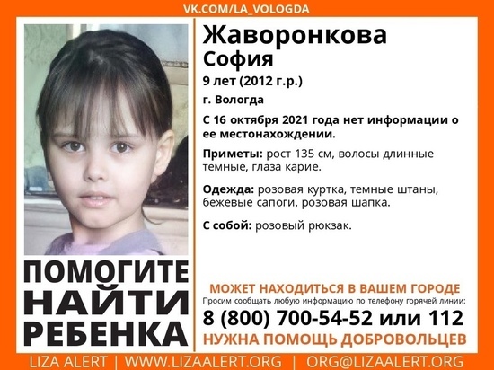 Костромские поисковики-волонтеры отправлись в Вологду на поиски пропавшей девочки