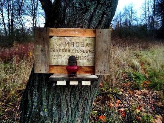 При посадке саженцев на тверском заброшенном кладбище нашли мемориальную доску