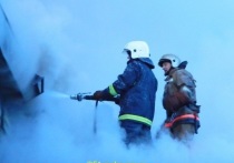 В Мурманской области за сутки пожарные тушили огонь семь раз
