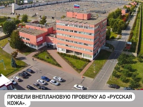 Глава Росприроднадзора озвучила результаты проверки на заводе «Русская кожа» в Рязани