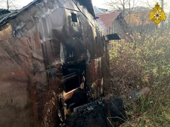 В Сафонове сарай из досок могли поджечь специально