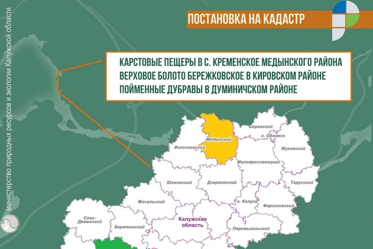 Зеленая карта калуга
