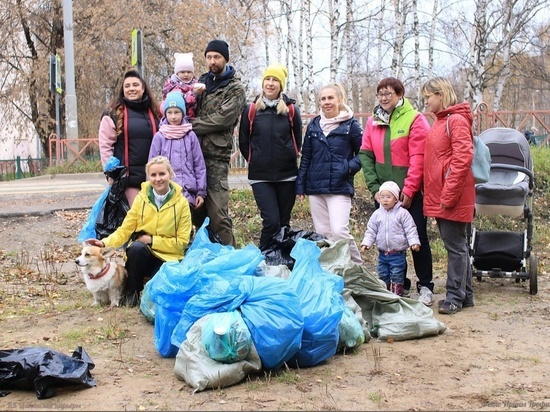 В Ляпинском бору Ярославля прошел субботник