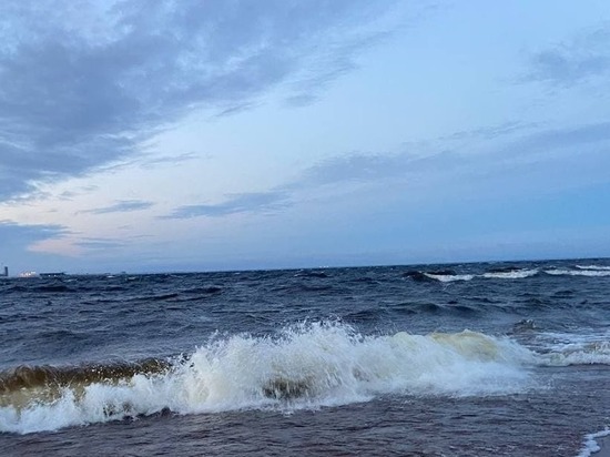 Ленобласть попала в зону шторма и мокрого снега