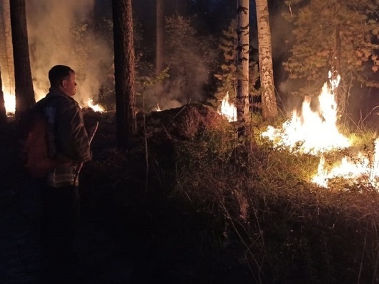 17 природных пожаров действуют в Свердловской области