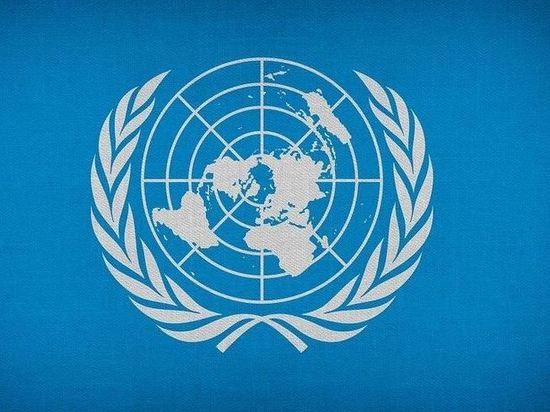 Луганская девочка пожаловалась в ООН на давление сайта «Миротворец»