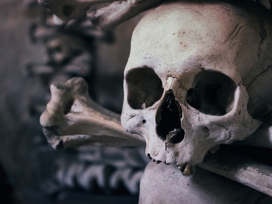 В подвале жилого дома в Улан-Удэ нашли человеческий череп