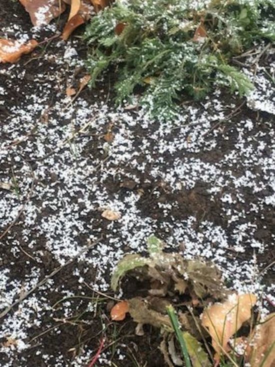 Татарстанцы в соцсетях поделились кадрами первого снега