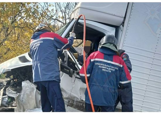 Оба водителя пострадали при столкновении грузовиков в Ленобласти