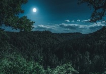 20 октября в случае подходящих погодных условий жители Земли смогут увидеть в ночном небе полную луну