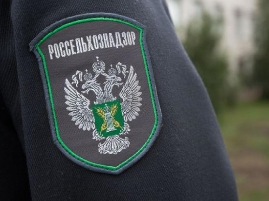 В Иванове оштрафовали хинкальную