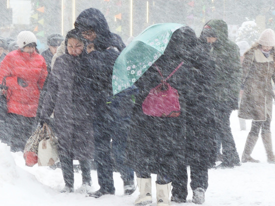 МЧС экстренно предупредило москвичей о снеге и ветре вечером