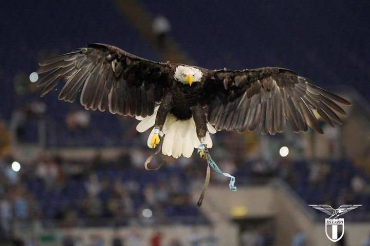 "Лацио" отстранил дрессировщика орла-талисмана за фашистское приветствие