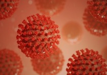 Индийский дельта-штамм коронавируса дал  «потомство»: в Британии обнаружили его мутацию -  штамм AY