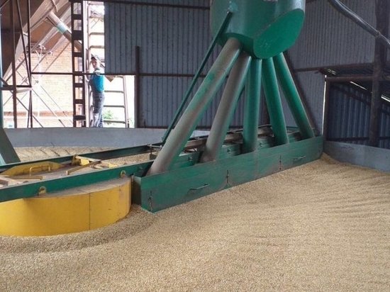 Под яровой сев в 2022 году в Удмуртии заготовили более 77 тыс. тонн зерна