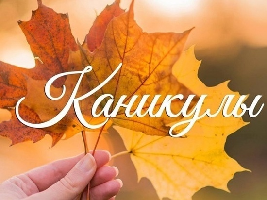 Осенние каникулы на Дону начнутся с 25 октября
