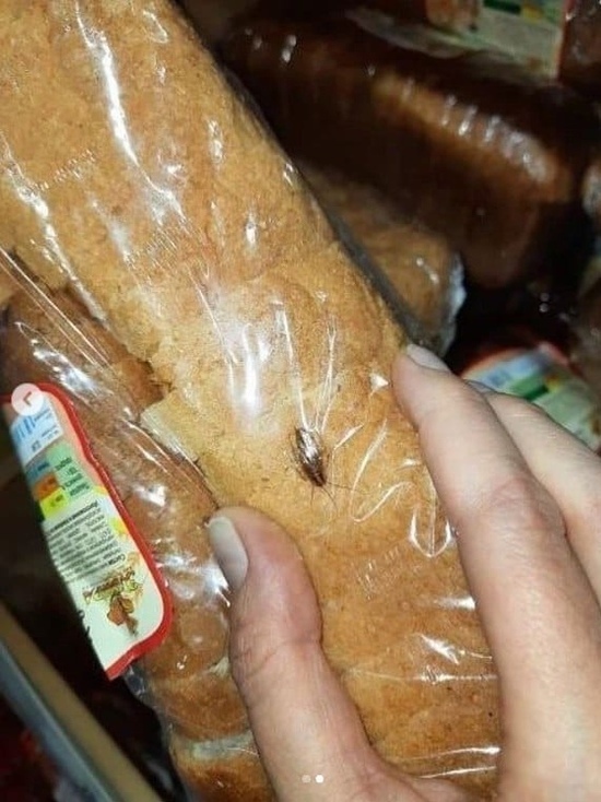 Астраханцы купили хлеб с тараканами