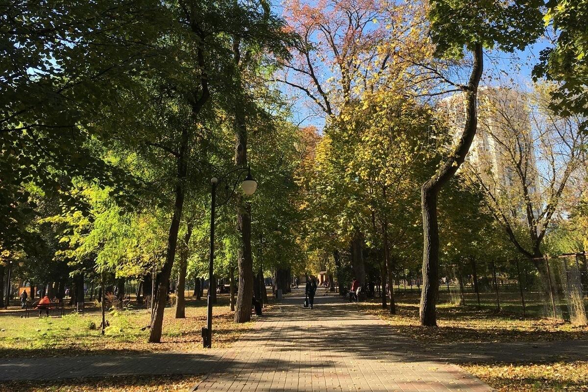 Все парки воронежа