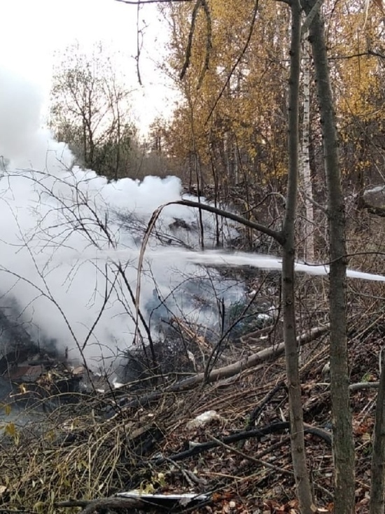 Во Владимире двое суток горела незаконная свалка