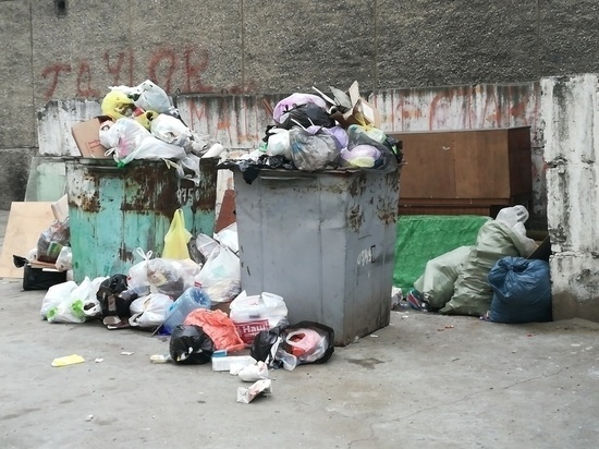 Власти Читы рассказали, почему установка бункеров для мусора не изменит ситуацию со свалками