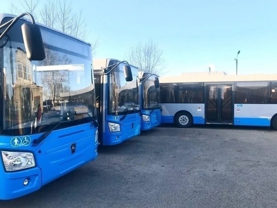 Около 50 автобусов в Чите простаивают из-за отсутствия водителей