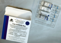 Регистрация российской вакцины «Спутник V» в Европе может быть в очередной раз отложена