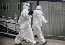 Профессор кафедры вирусологии биологического факультета МГУ Алексей Аграновский назвал главные отличия нового варианта коронавируса AY