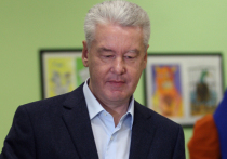 Из-за ухудшения ситуации с распространением коронавируса школьные каникулы в Москве начнутся 28 октября, заявил мэр Москвы Сергей Собянин