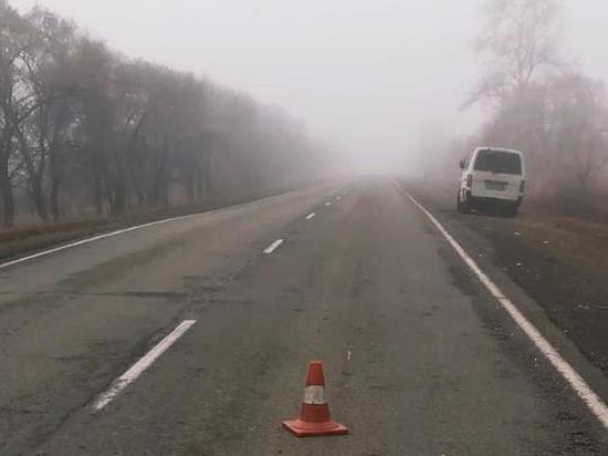 На дороге вблизи аала Сапогов две машины сбили в тумане коров