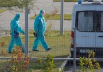 Пресс-секретарь президента РФ Дмитрий Песков оценил отказ некоторых регионов от плановой медицинской помощи в условиях растущей заболеваемости коронавирусом