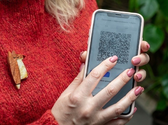 Пункты контроля: КДЦ Салехарда призвал посетителей без QR-кодов сдавать билеты на концерты