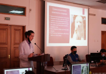 Члены молодежной палаты горсовета Улан-Удэ рассказывают жителям о важности стерилизации домашних собак